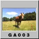 GA003.jpg