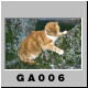 GA0066.jpg