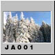 JA001.jpg