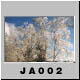 JA002.jpg
