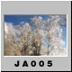 JA005.jpg