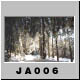 JA006.jpg