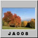 JA008.jpg