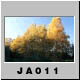 JA011.jpg