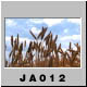 JA012.jpg
