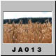 JA013.jpg