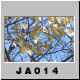 JA014.jpg