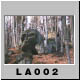 La002.jpg