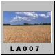 La007.jpg