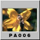 PA006.jpg